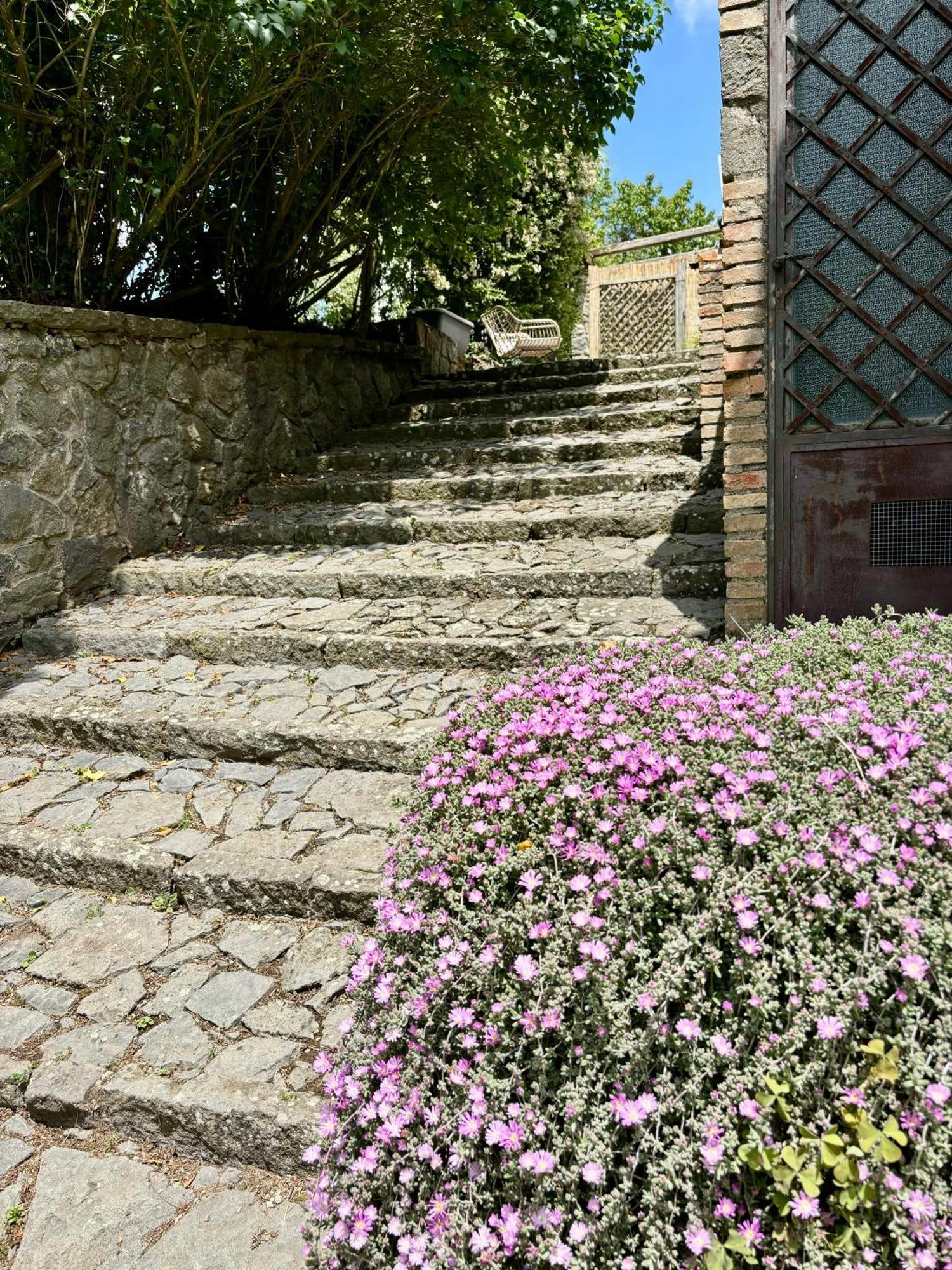 Bed and Breakfast Collina Blu Bolsena Exterior foto