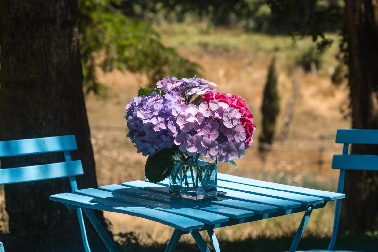 Bed and Breakfast Collina Blu Bolsena Exterior foto
